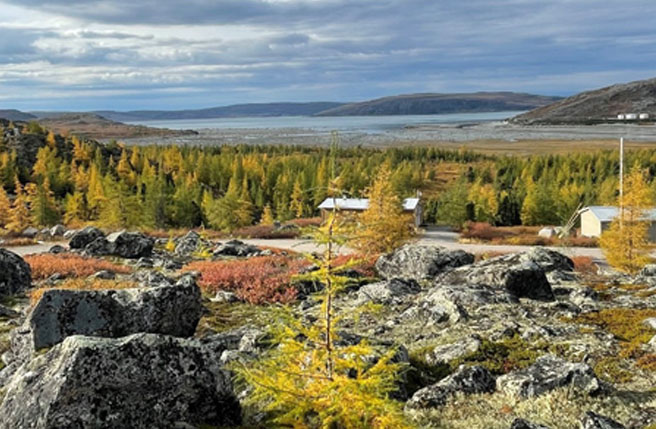 Forêt boréale en automne, rochers au premier plan et plan d’eau à l’horizon sous un ciel nuageux.